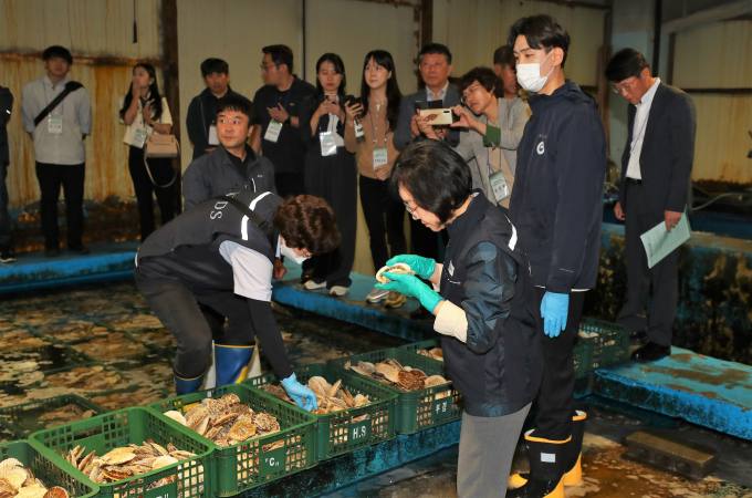 오염수 방류 코앞…일본 어패류 수입량 지난달 30% 급감