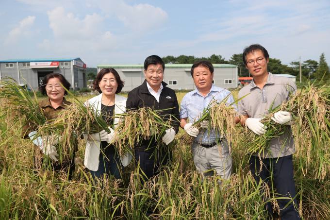 태풍을 이겨낸 고성 들녘 쌀 첫 수확 [포토뉴스]