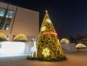 전북대 캠퍼스에 크리스마스트리 불빛 ‘영롱’ 