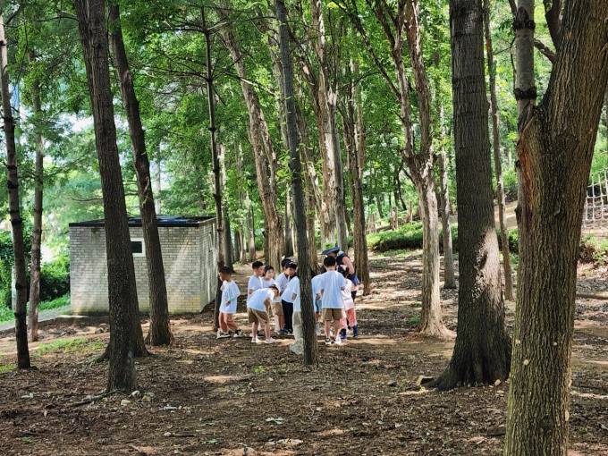 전주시, 유아숲체험원 6곳 산림교육 운영