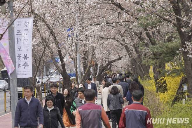 여의도 봄꽃축제 D-3…서울시, 인파 대비 안전 점검 실시