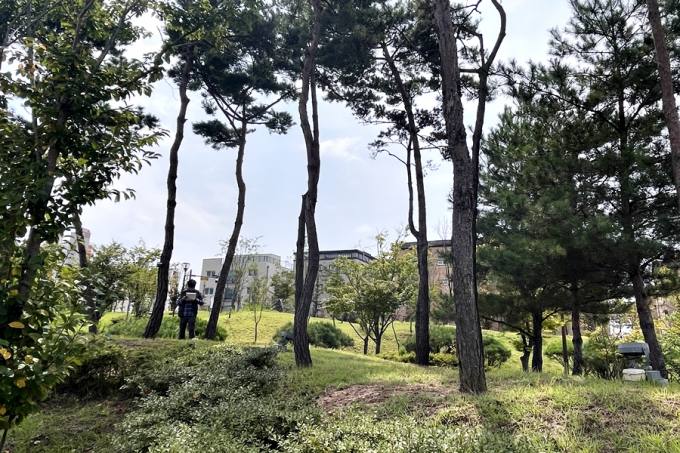 세종수목원 '도시숲 중요성 알리기 측정사업' 본격 추진