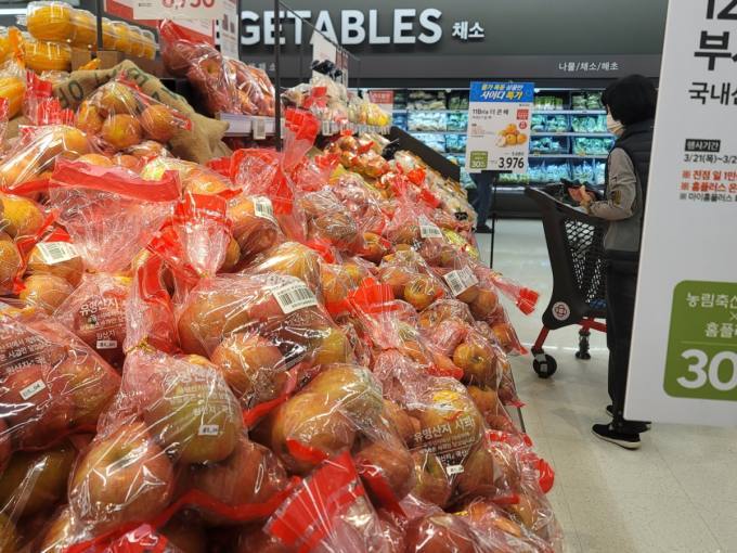 ‘장바구니 넣기 두렵다’…지난달 사과·배 가격 80%대 상승