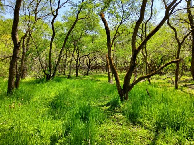 고창 고인돌·운곡습지, 환경부 ‘4월의 생태관광지’ 선정 