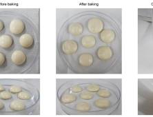 [쿠키과학]미생물로 만든 달걀 '영양소, 거품까지 진짜 같다'