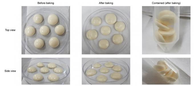 [쿠키과학]미생물로 만든 달걀 '영양소, 거품까지 진짜 같다'